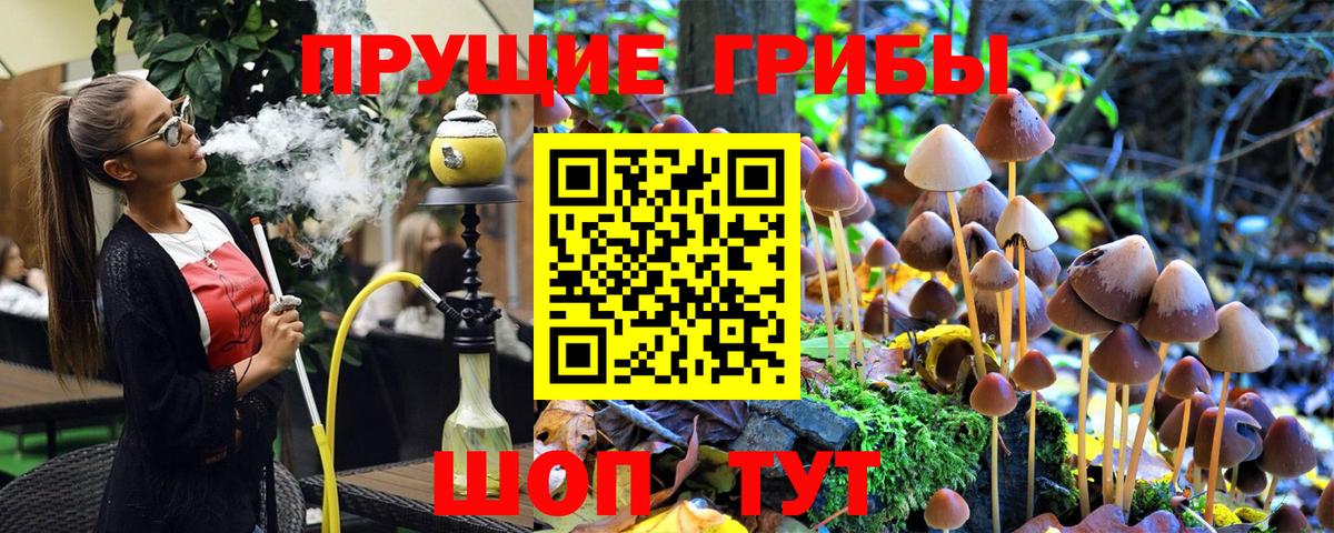 Галлюциногенные грибы MAGIC MUSHROOMS  Вход с VPN  Балашиха 