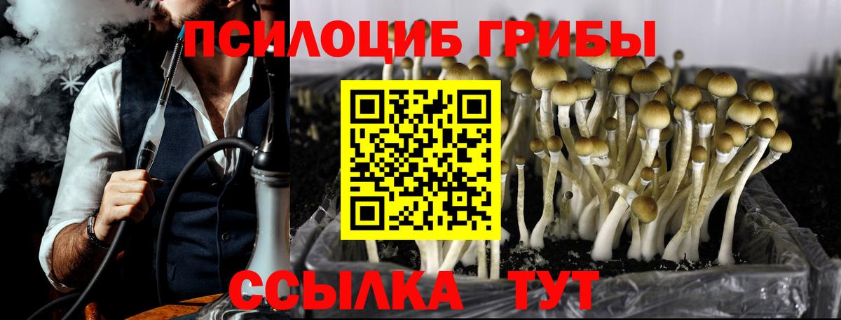 Псилоцибиновые грибы MAGIC MUSHROOMS Балашиха